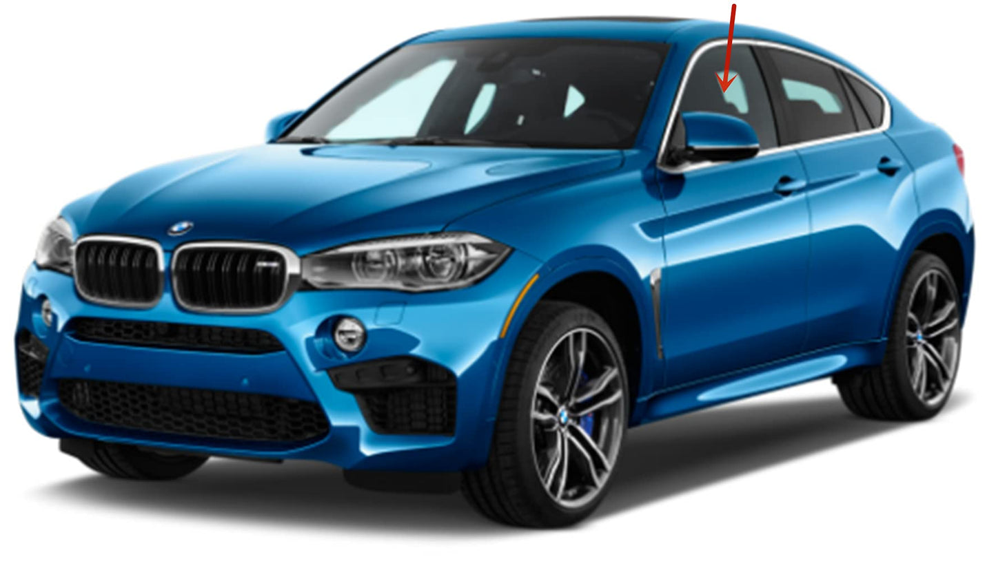 OEM Driver Left Side Front Door Window Door Glass Compatible with BMW X6 2015-2019 Models